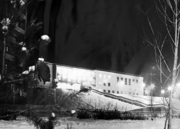 "Чайки над Амуром"