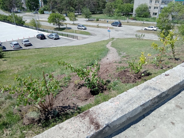 "Внимание! Проведено озеленение!"