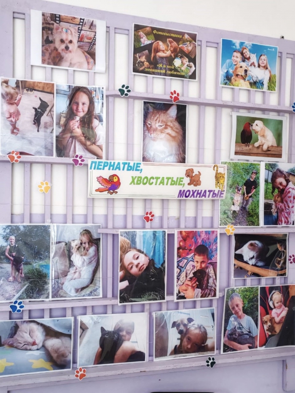 Фото-кросс с любимым семейным питомцем "ЛапУшки"