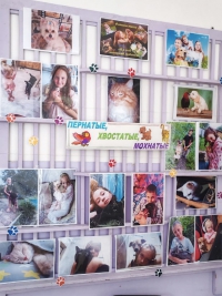 Фото-кросс с любимым семейным питомцем &quot;ЛапУшки&quot;