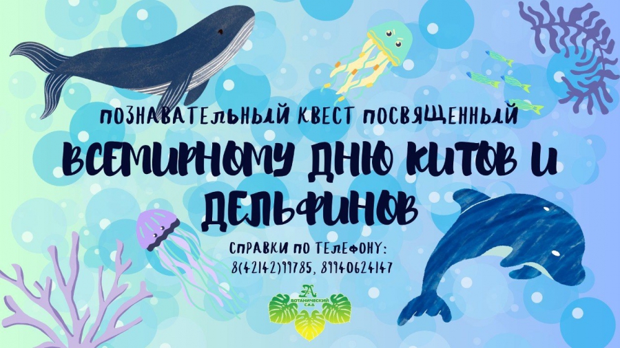 С днем китов и дельфинов 23 июля клевые поздравления для любителей моря и животных